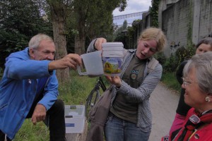 Wasserfiltern für Kinder - begreiflich anschaulich machen, wie Wasser von trüb nach sauber gefiltert wird