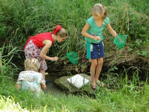 Auf Forschungsreise am Bachschulzimmer